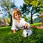 Zechnerhof Farm stay *