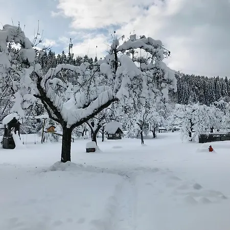 Zechnerhof ファームステイ ザンクト・ゲオルゲン・オプ・ムーラウ