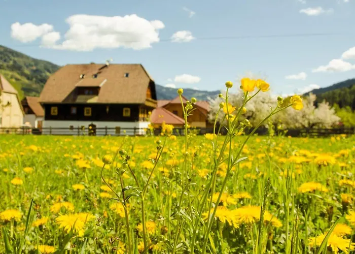 Farm stay Zechnerhof *
