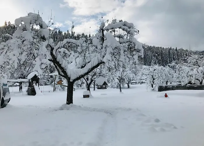 Zechnerhof Farm stay Sankt Georgen ob Murau
