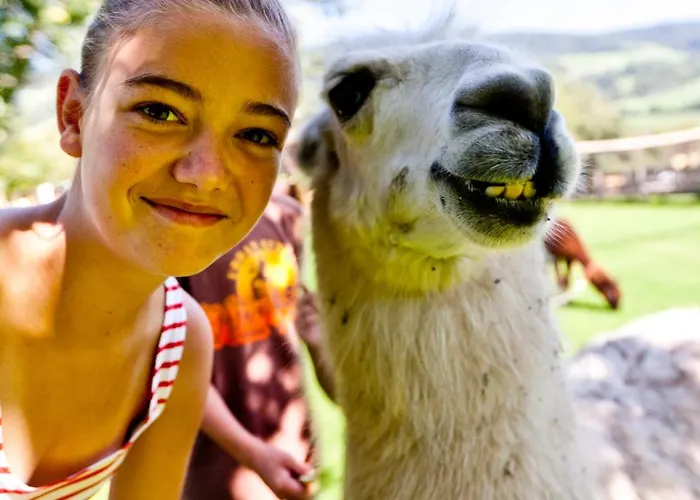 Zechnerhof Farm stay