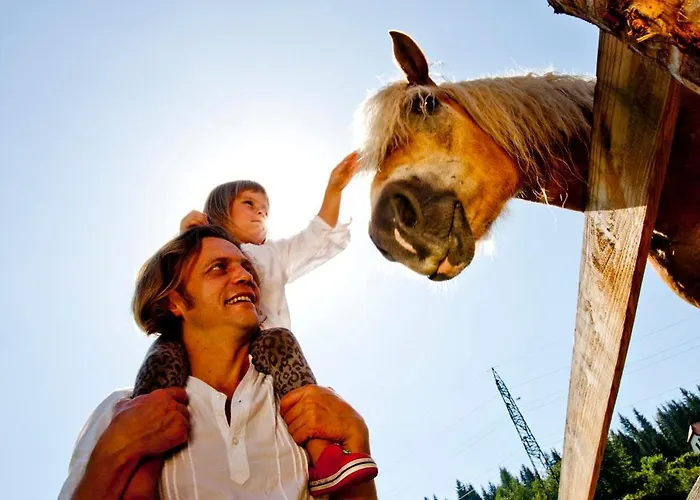 Zechnerhof * Sankt Georgen ob Murau